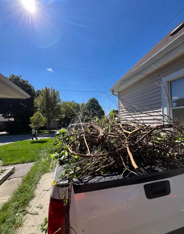 Junk Removal London Ontario600952445306808322