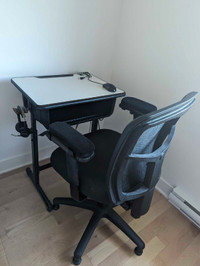 Chaise bureau professionnelle avec tapis transparent (80$)