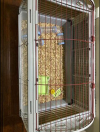 Large hamster/guinea pig cage