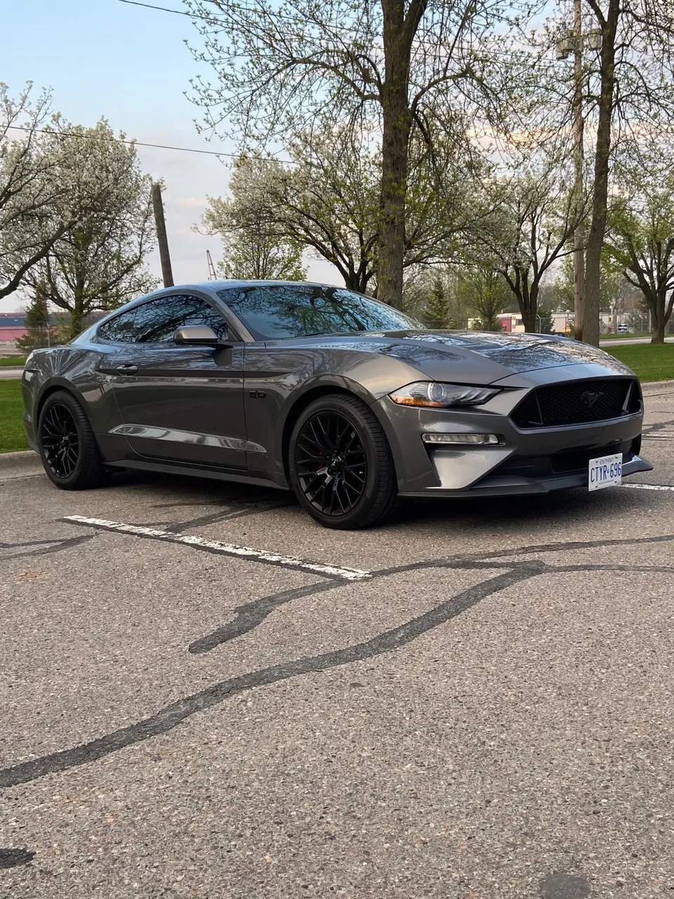 2021 Ford Mustang GT 5.0 - MINT condition