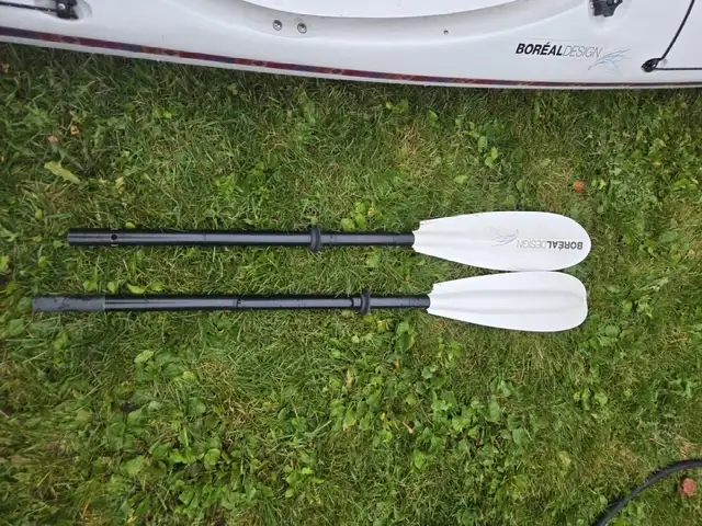 Boreal Design Kayak "Fjord" fiberglass62863734816643123