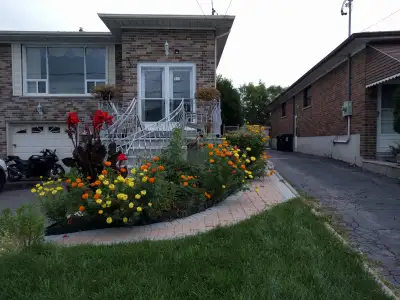 A bright and Spacious Walkout basement with 2 bedrooms, 2 washrooms, 2 parking spaces, and 2 entranc...