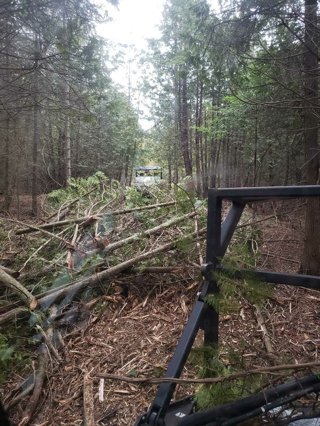 Land Clearing, Forestry Mulching, Lot Clearing, Demolition in Excavation, Demolition & Waterproofing in Kitchener / Waterloo - Image 3