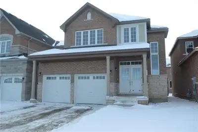 Very Beautiful 2 Bedroom Basement Apartment for Rent - 416-799-1616 in Brampton Near by School, Bus...
