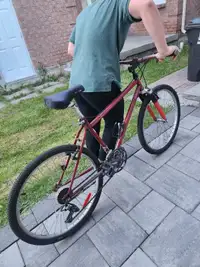24" bike 