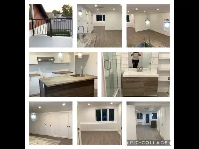 Appartement 3 1/2 à louer