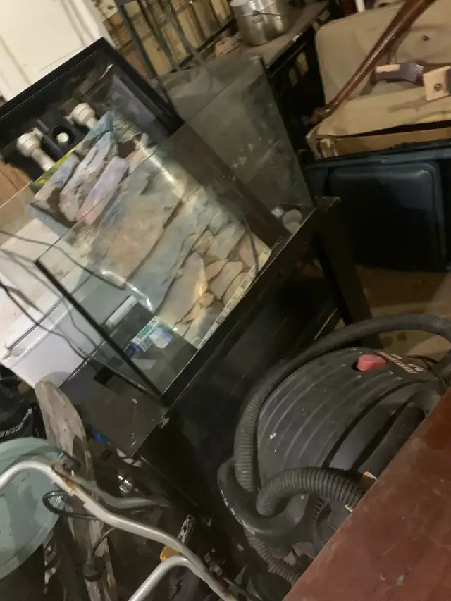 fish tank big in Accessories in Moncton - Image 3