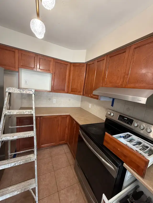 Red Seal Mater Painter64141827992577124