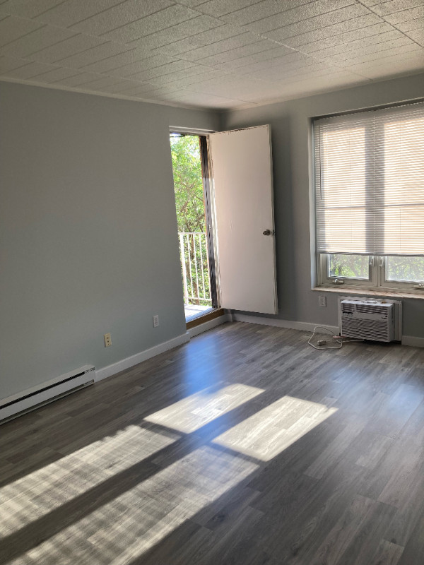 Newly renovated 1 bedroom apt for rent in Long Term Rentals in Windsor Region - Image 2