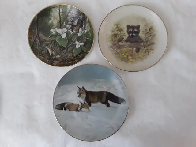 COLLECTOR PLATES in Arts & Collectibles in Hamilton - Image 2