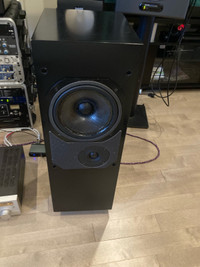 Referance 3a series Master M1 gen2 speakers