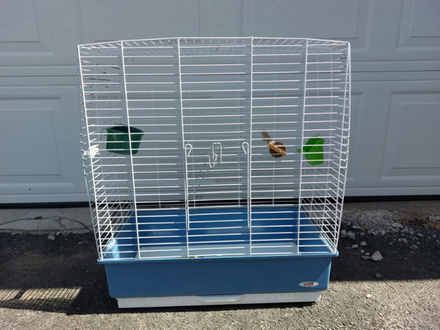 Bird Cage in Birds for Rehoming in Dartmouth