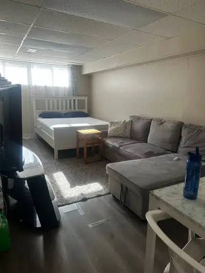 1 bedroom basement apartment at Bathurst and Steeles. Separate entrance. Full Kitchen and bathroom....
