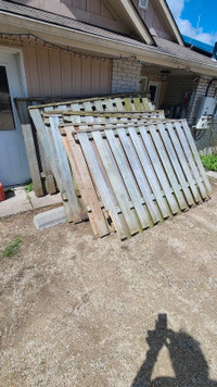 FENCE PANELS! ONLY $49 each!  5' high and 7' wide.