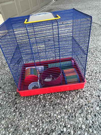 Animal Case for sale, View more