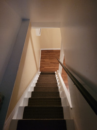 Room in basement with your own washroom.