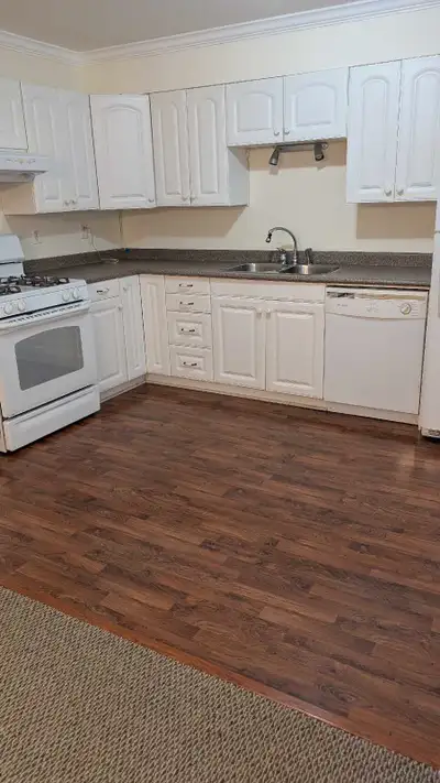 Bright & Spacious One- or Two-Bedroom Suite – East Abbotsford This beautiful basement suite, availab...