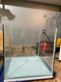 5 gallon rimless cube aquarium 