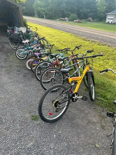 Mountain adult bikes hybrid and kids bikes