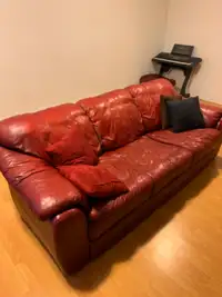 Stylish, comfortable sofa, good condition, great price!