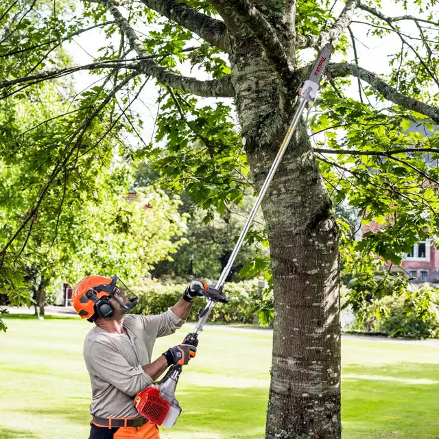 Tree Cutting & Pruning - Calgary and Nearby areas62864353926530121