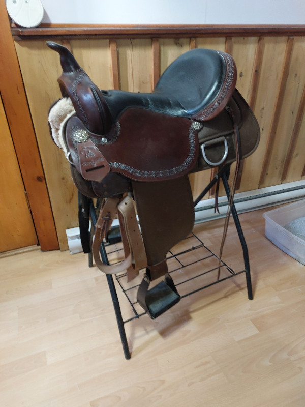Circle Y Magnolia Cordura 16 in western saddle in Equestrian & Livestock Accessories in Trenton