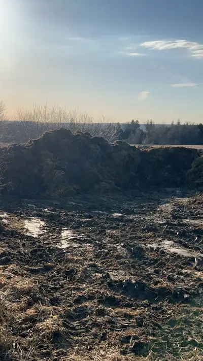 Manure / fertilizer and, View more