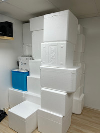 Large Styrofoam coolers