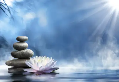 Looking for Massage Practitioners/Therapists, View more