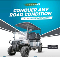 Brand new 48 volt electric custom golf carts !! $12995 to $14995