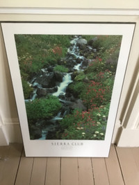Sierra Club Nature Series Photographic Prints on Board