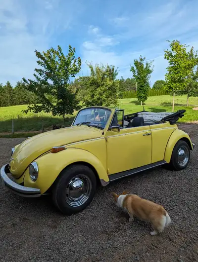 1971 Volkswagen Super Beetle convertible. Great condition Message for more information *Please note:...