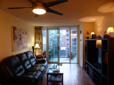 FURNISHED ROOM PVT BATHROOM IN DNTN CONDO W/ GREAT VIEW JUL 1