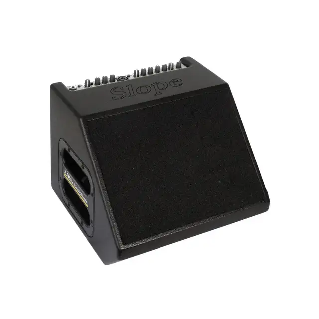 AER AMPS  finally back in Canada . in Amps & Pedals in Mississauga / Peel Region - Image 3