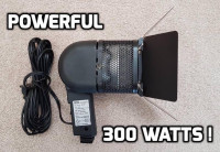 Professional 300-Watt Video Light $300