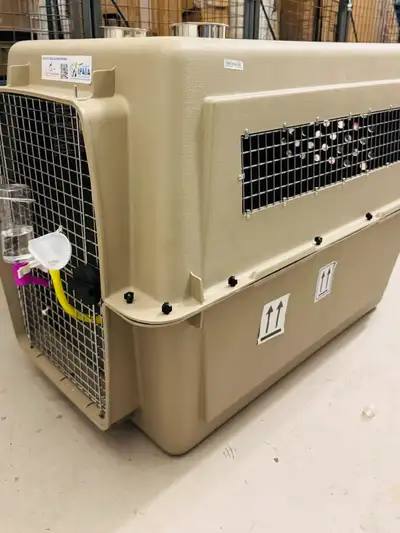 Dog pet crate, View more