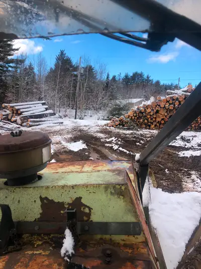 6-24ft sawlogs, View more