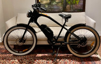 Electric Bike - MICHAEL BLAST VACAY 500W