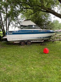  Steury boat for sale  