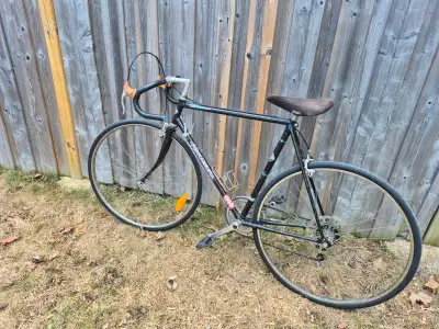 Nakamura performance tuned road bicycle (23.5" frame), View more