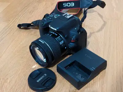 Canon SL2 DSLR Camera with 18-55mm IS STM lens, View more