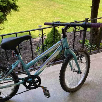 Movelo Algonquin 20" Girls’ Steel Mountain Bike, View more