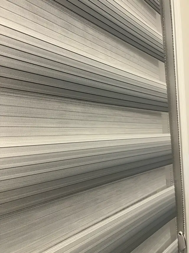 Zebra Blinds Roller Shades Curtain64639724127619121