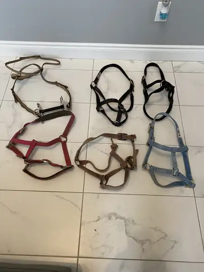 Horse halters, $5 each
