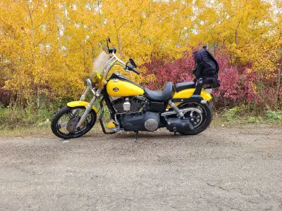 Beautiful 1 of a kind collector! *2nd owner!!! LOW Kms!!! ALL receipts from present back to original...