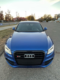 2015 Audi SQ5 Technik