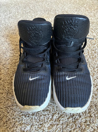 Nike Lebron Witness shoes size 9