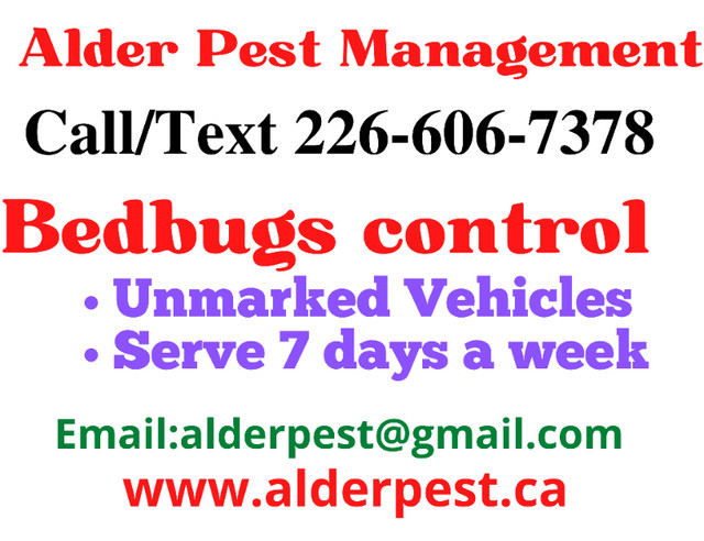 Pest control services St. Catharines Call 226-606-7378 in Other in St. Catharines - Image 2