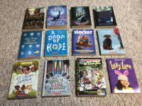 Assorted Youth Books
