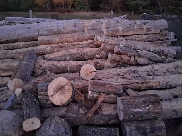 needing your log pile cut and split? in Fireplace & Firewood in Muskoka - Image 3